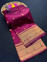 Aarohi Muniyaa Paithani